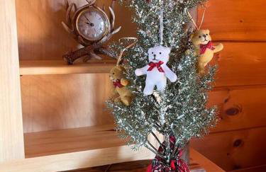 Heaven’s View Lodge, Pool, Pet Friendly - Foto 60