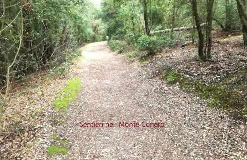 Nel blu dipinto di blu - Foto 44