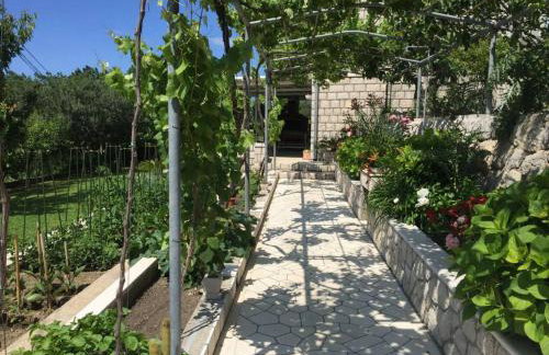 Villa Silvija - Foto 33