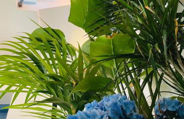 GALA Apartamentos Bravo Murillo - parking gratis - Foto 3