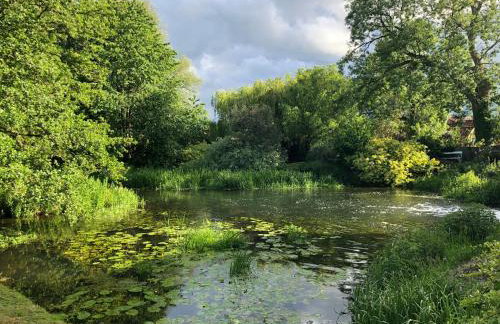 Waterside, Elmham Watermill, Norfolk - Foto 31