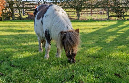 6 Bed in Broxburn oc-94359 - Foto 39