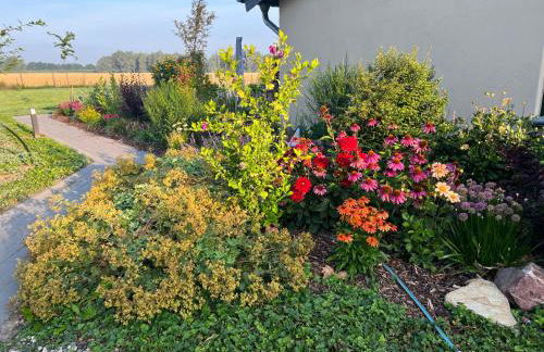 Königsgut Emmericher Eyland - Foto 6