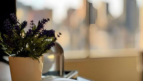 Confortável Flat no Centro - Foto 5