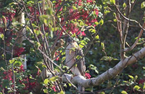 Dolphin House - Foto 53