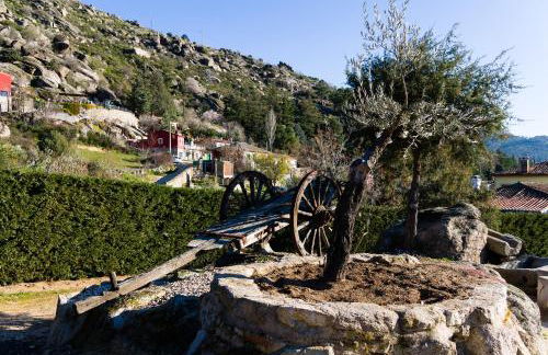 Finca 13 Ramas - Photo 17