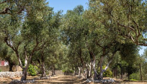 BUENA VISTA studios - Foto 5