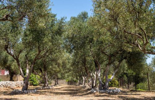 BUENA VISTA studios - Foto 5