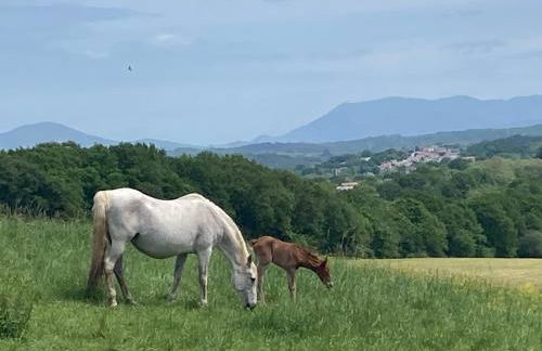 Villa ARGUIBEL - Foto 51