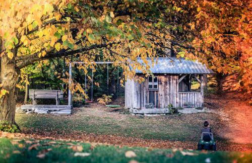 Ferienhof Stöhrmühle - Foto 44