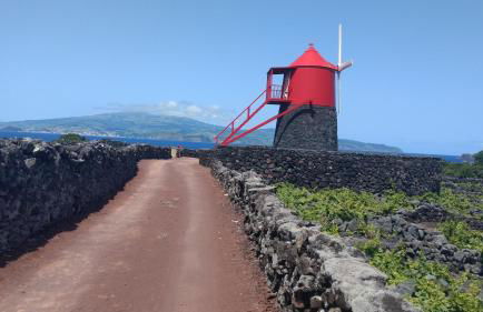 Casas do Verdelho - Photo 39