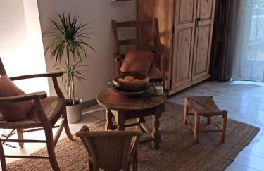 Les volets bleus - Photo 8