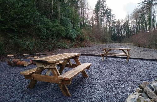 The Stables at Eriviat Hall - Foto 52