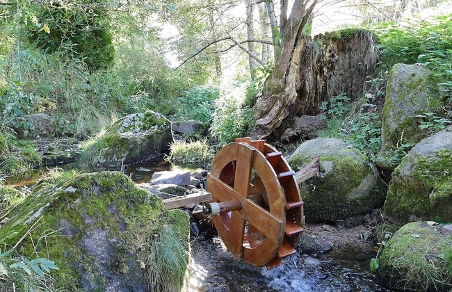 Historisches Ferienhaus im Schwarzwald - Photo 13