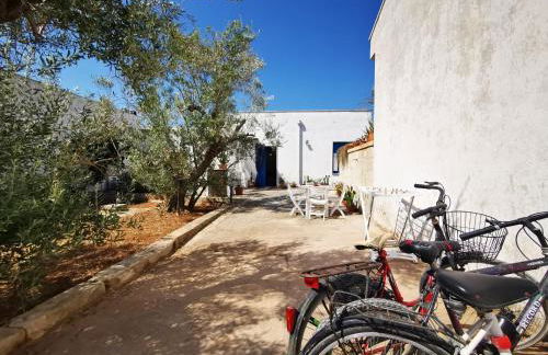 Trullo Salento a 2 passi dal mare - Apulia Home - Foto 10