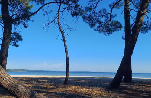 Magnifique villa avec piscine - Foto 51