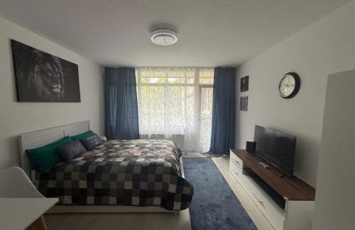 Steinhauer Business Appartement - Foto 1