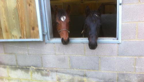 Withyslade Farm - Foto 4