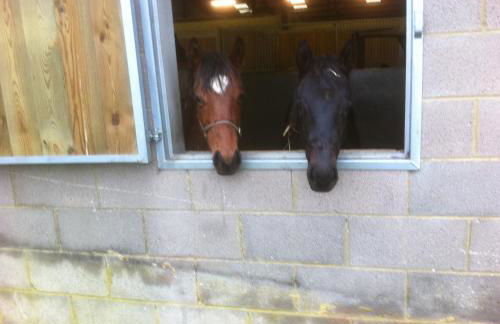 Withyslade Farm - Foto 4