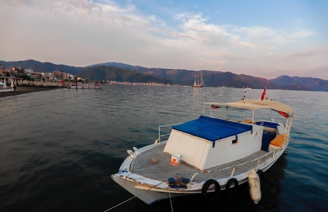 Little Gemin - Foto 16