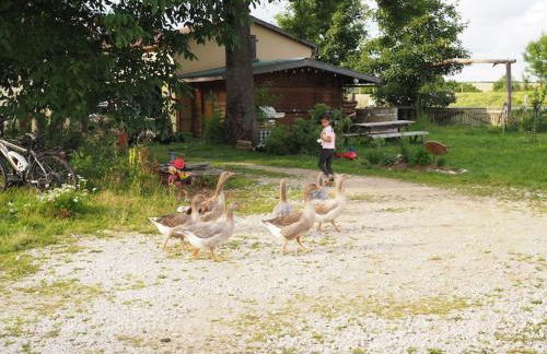 Wunderschöne 3-Zimmerwohnung auf dem Bauernhof - Foto 8