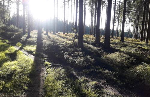 Ferienhaus Broche - Foto 49