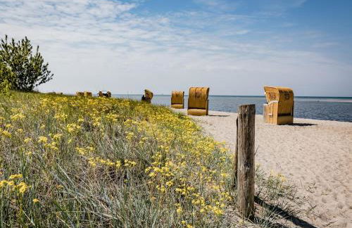 Wohnung in Lübberstorf am Neuklostersee - Foto 32