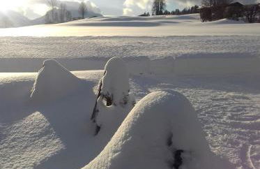 Ferienwohnungen Mooshäusl - Foto 34