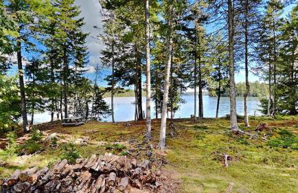 Wolfe's Way - Photo 42