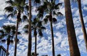 Vacacional Candelaria la Sardina - Foto 53