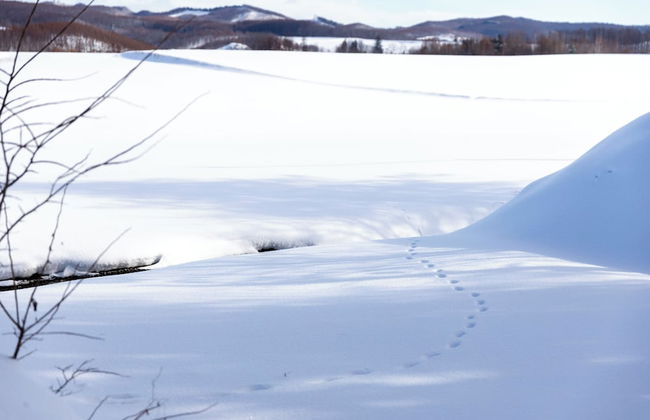 STARRY SKY COTTAGE 13 - Photo 41