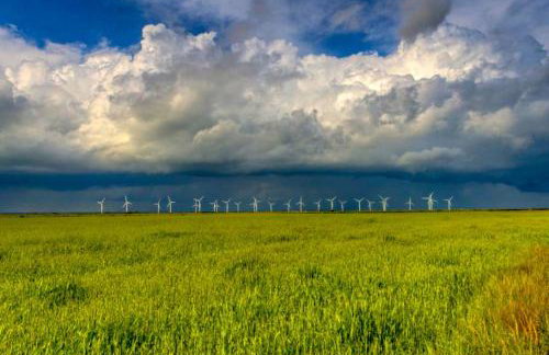 The Surf Shack - Photo 23