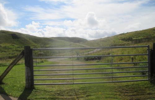 Pet Friendly 1Br Modernised Cottage with Fibre WiFi - Foto 21