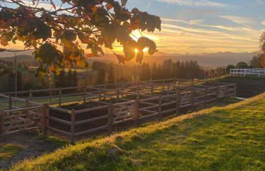 Gut Buchenhof - Photo 60