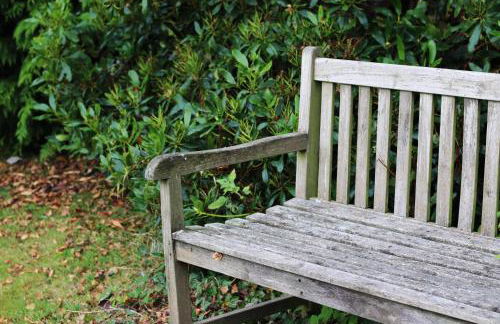 Clint Lodge - Foto 38