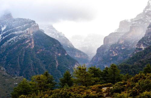 As Fuebas de Patricio - Foto 34