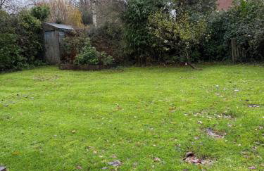 Cosy Forest Cottage Log Fire Ponies Walks - Foto 12