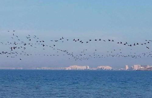 ShoreHouse Verdemar Dos Primera linea Playa Honda - Foto 35