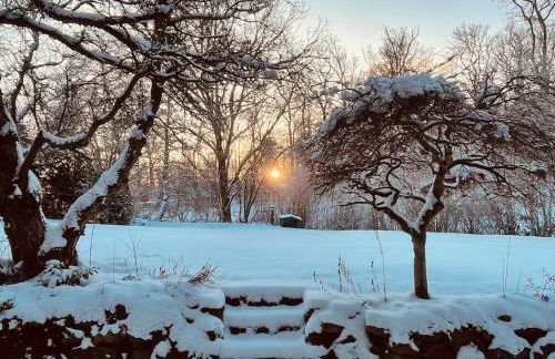 Ferienwohnung zum Zauberwald - Foto 13