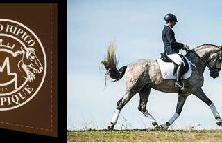 VillaPlaya - Photo 35