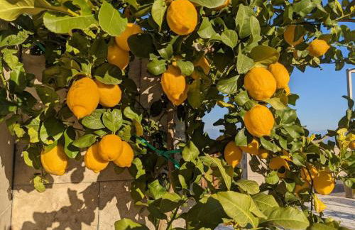 Accomodation in villa with pool & parking near Rome - Foto 35