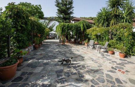 Katikies Stamatias Studios & Maisonettes - Foto 65