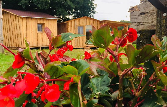 Kerca Bio Farm - Foto 33