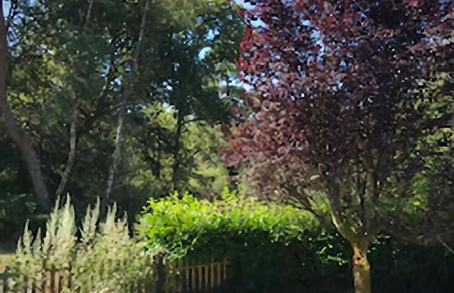 Peaceful Countryside Home - Foto 19