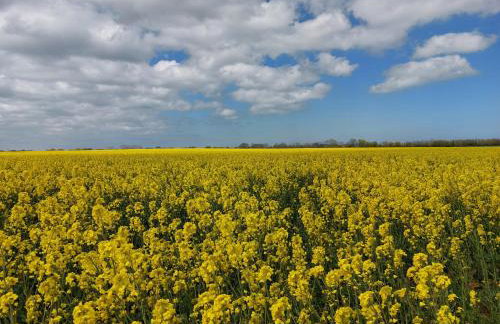 Ostsee Ferienwohnung in Schönberg inklusive 2 Leihfahrräder Self-Check-in - Foto 17