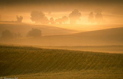 ACTIVFARM DOMKI NA KASZUBACH Domek Piotruś - Foto 29