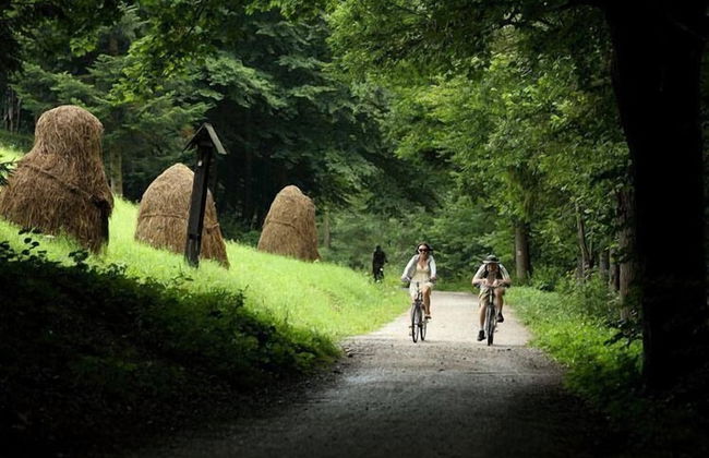 Jaworki Green Dream - Foto 36