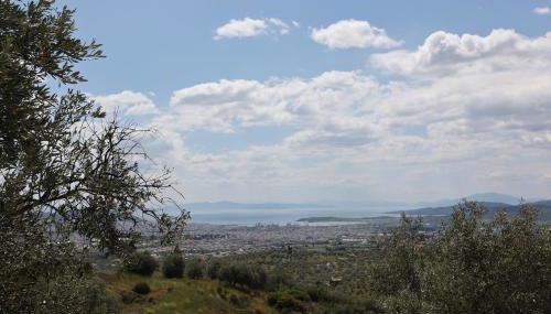 Admonis - Home in the olive grove - Foto 2