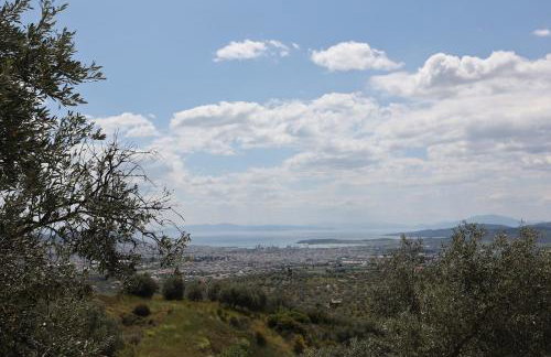 Admonis - Home in the olive grove - Foto 2