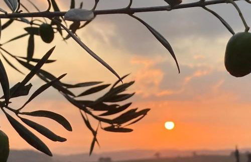 Pet Friendly - 2 Guests - Original Roadsmans Wagon - Foto 10